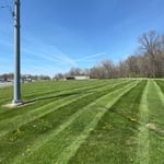 Weekly Lawn Maintenance