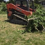 Tree Removal