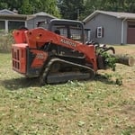 Tree Removal