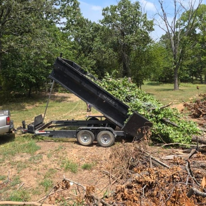 Tree Removal