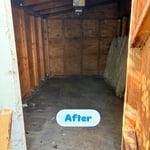 Shed clean out
