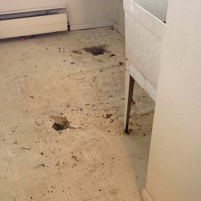 Move out Clean