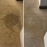Carpet Cleaning