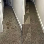 Carpet Cleaning