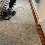Carpet Cleaning