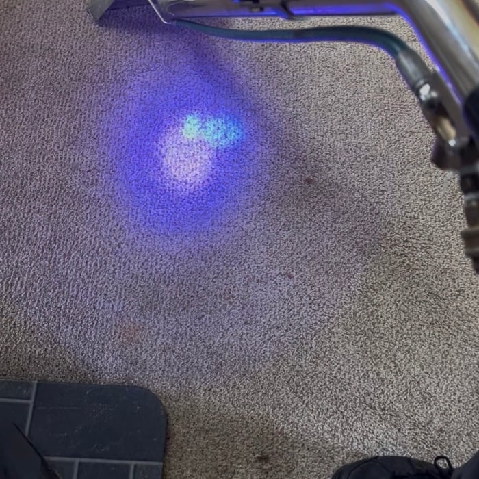 Carpet Cleaning