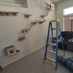 Cat steps mounted