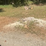 Grinding in Powhatan