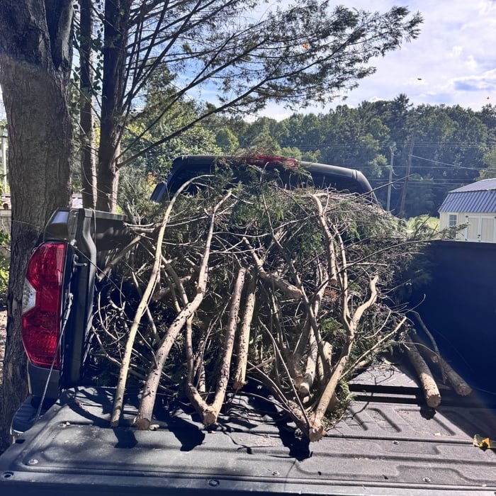 Debris Removal