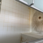 Shower cabin before