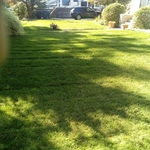 Simple lawn mow
