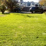 Simple lawn mow
