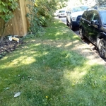 Simple lawn mow