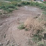 Junk removal project