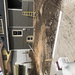 Yard cleanout