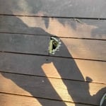 Deck Boards repair