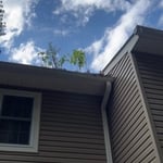 Home inspection defects