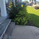 Mr. Jeff's Beds