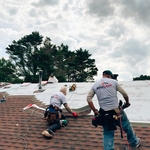 Shingle Roof