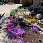 custom front yard