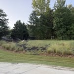 Before: Patchy Lawn