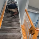 Flooring installation