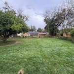 Trimming and removal