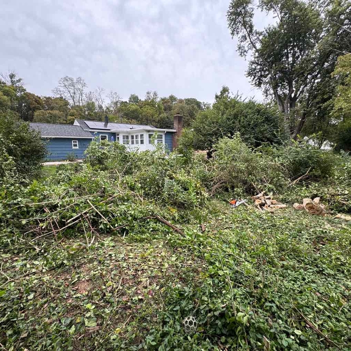 Trimming and removal