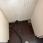 Kitchen clean