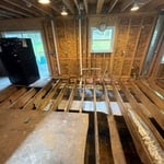 Mold Remediation