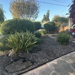 Landscaping maintenance