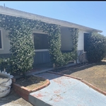 Flower pruning clean up