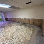 flood demo/drywall