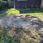 Tree job