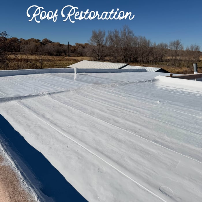 Roof Repair