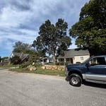 Tree work