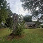 Tree work