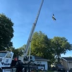 Tree removal