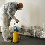 Mold Abatement