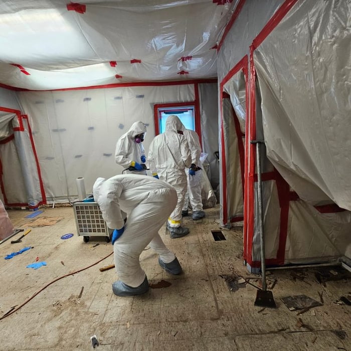 Asbestos Removal