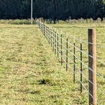 5 Strand Barb Wire