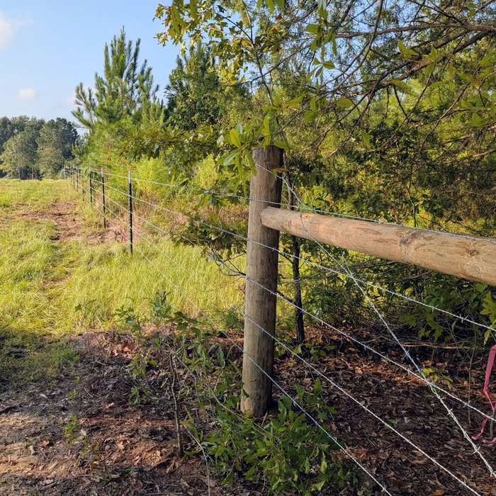 Barb Wire Fence Line