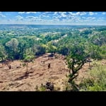 Clearing hill side