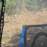 Clearing hill side