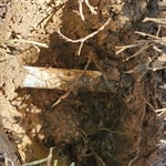 Sprinkler repairs