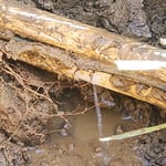 Sprinkler repairs