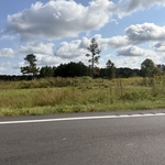 Land clearing