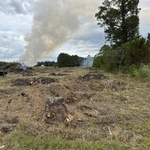 Land clearing
