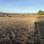 Land clearing