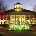 Christmas lights